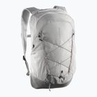 Rucsac de turism Salomon XT 25 l paloma/cloudburst