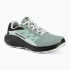 Încălțăminte de alergare pentru femei Salomon Alphaglide GTX green milieu/asphalt