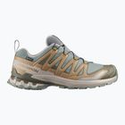 Încălțăminte de alergare pentru bărbați Salomon XA Pro 3D V9 GTX sedona sage/brilliant olive