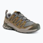 Încălțăminte de alergare pentru bărbați Salomon XA Pro 3D V9 GTX sedona sage/brilliant olive