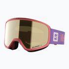 Ochelari de schi pentru copii Salomon Rio S2 smoke blue/flash gold