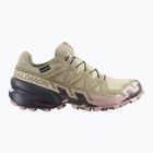 Încălțăminte de alergare pentru femei Salomon Speedcross 6 GTX eucalyptus/slate green