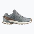 Încălțăminte de alergare pentru bărbați Salomon XA Pro 3D V9 GTX Lifelong sedona sage/coyote brown