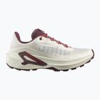Încălțăminte de alergare pentru femei Salomon Genesis 2 vanilla ice/huckleberry