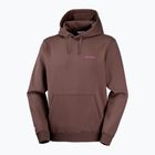 Bluză de alergare pentru bărbați Salomon Shortney Hoodie shopping bag