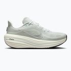 Încălțăminte de alergare pentru femei Nike Winflo 12 off white/barely green/metallic silver