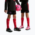 Pantaloni scurți de fotbal pentru copii Nike Paris Saint-Germain Strike black/hyper royal/global red/global red