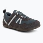 Încălțăminte barefoot pentru bărbați Xero Shoes Prio insignia stormy weather