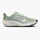 Încălțăminte de alergare pentru bărbați Nike ACG Pegasus Trail jade horizon/light silver/phantom