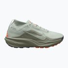 Încălțăminte de alergare pentru bărbați Nike ACG Pegasus Trail GORE-TEX Light Silver/Light Army/Light Silver