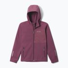 Geacă softshell pentru copii Columbia Ascender Hooded Softshell antique mauve