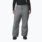 Pantaloni de schi pentru femei Columbia Bugaboo III sedona sage