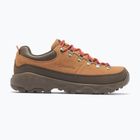 Încălțăminte de trekking pentru bărbați Columbia Newton Alpine Low grizzly bear/red oxide