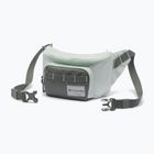 Borsetă Columbia Zigzag II Hip Pack 1 l sedona sage/tea light