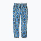 Pantaloni de trekking pentru bărbați Patagonia Synchilla deep freeze: forge grey
