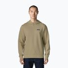 Bluză pentru bărbați Patagonia Daily Hoody weathered stone
