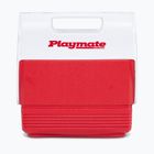 Frigider turistic Igloo Playmate Mini 3 l red star