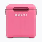 Frigider de camping Igloo Tag Along Too Highrise 18 l pink
