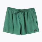 Șort de baie pentru bărbați  Quiksilver Everyday Surfwash Volley 15 frosty spurce