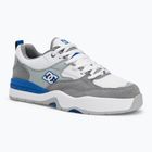 Încălțăminte pentru bărbați DC Ascend white / grey / blue