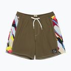 Pantaloni scurți de baie pentru bărbați Quiksilver Original Arch Volley 17" grape leaf