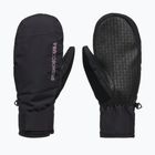 Mănuși de snowboard pentru femei DC Franchise Mitt W 10K black