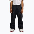 Pantaloni de snowboard pentru bărbați DC Banshee black