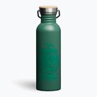 Sticlă turistică Picture Hampton 750 ml smoke pine