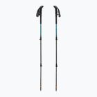 Bețe de trekking LEKI Makalu Lite AS greenblue light/greenblue dark
