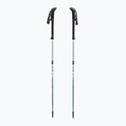 Bețe de trekking LEKI Makalu FX TA silver/greygreen/white