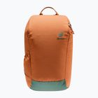 Deuter StepOut 16 l rucsac de oraș 381512392060 castan/color castan