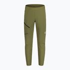 Pantaloni de schi fond pentru bărbați Maloja GlenoM verde 34234-1-0560