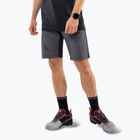 Pantaloni scurți de trekking pentru bărbați DYNAFIT Transalper Light Dynastretch magnet