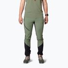 Pantaloni de trekking pentru bărbați DYNAFIT Transalper Light Dynastretch sage