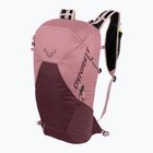 Rucsac turistic DYNAFIT Transalper 18 + 4 l mokarosa/burgundy