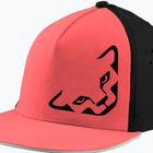 DYNAFIT Tech Trucker cabana baseball cap