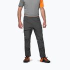 Pantaloni de trekking pentru bărbați Salewa Nxt Dst onyx