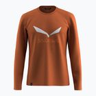 Longsleeve pentru bărbați Salewa Solidlogo Dry bombay brown