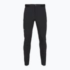 Pantaloni de trekking pentru bărbați Salewa Pedroc 5 DST black out
