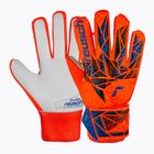 Mănuși de portar Reusch Attrakt Starter Grip hyper orng/elec blue