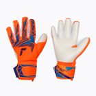 Mănuși de portar Reusch Attrakt Freegel Advance shocking orange/blue