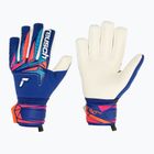 Mănuși de portar pentru copii Reusch Attrakt Gold X NC Junior sharp blue/white/shocking orange