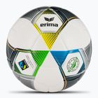 Minge de fotbal ERIMA Hybrid Eco silver/navy mărime 5