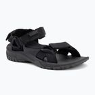 Sandale pentru bărbați Jack Wolfskin Lakewood Ride phantom