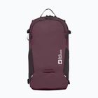 Rucsac Jack Wolfskin Velocity 20 l amaranth