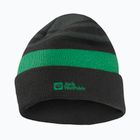 Căciulă de iarnă pentru copii Jack Wolfskin Stripy Knit slate green/mystic