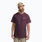 Tricou bărbați Jack Wolfskin Essential amaranth