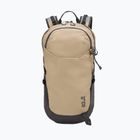Rucsac de turism Jack Wolfskin Astro Vent 24 l hazel wood