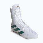 Încălțăminte de box adidas Box Hog 4 cloud white/collegiate green/core black