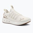 Încălțăminte de alergare PUMA Softride Carson Fresh warm white/puma gold